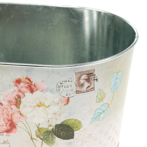 Floristik24 Ültetőtál rózsák ovális 22,5cm x 13,5cm H11cm