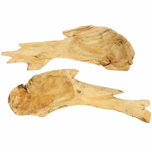 Floristik24 Gyökérfa tál 50cm x 17cm H8cm