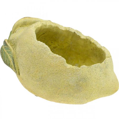 Floristik24 Ültetőtál, citrom ültetéshez, mediterrán betondísz L22cm