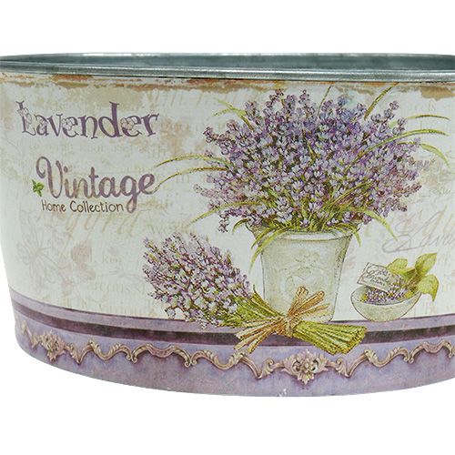 Floristik24 Ültetőtál szett 3 db kerek levendula Ø17-23cm