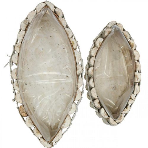 Floristik24 Növénytál, fából készült növénytartó doboz, Jardiniere L37,5/28cm H10/9cm 2 db-os készlet