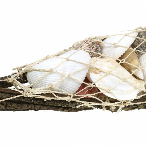 Floristik24 Deco csónak kagyló keverékkel 50cm