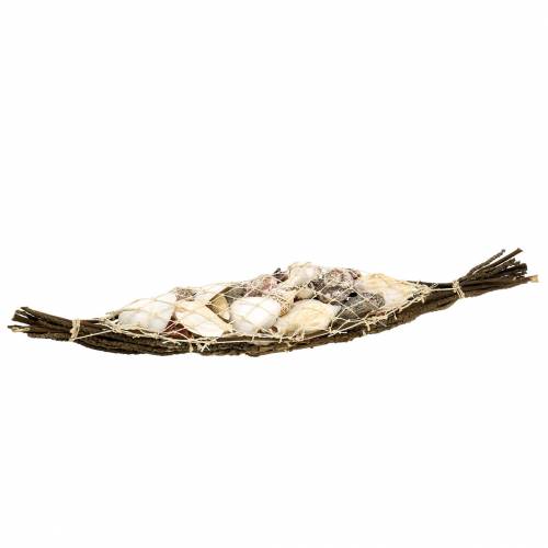 Floristik24 Deco csónak kagyló keverékkel 50cm