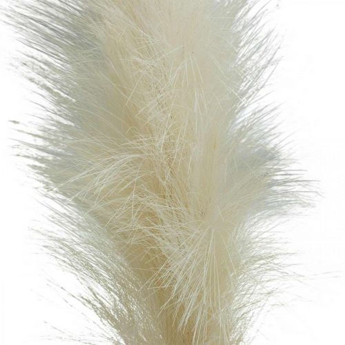 Feather Grass Cream Kínai nád mesterséges szárazfű 100cm 3db