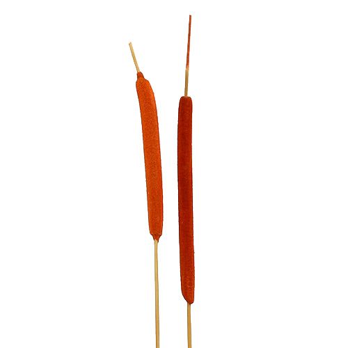 tételeket Nádpehely Mix Narancs 100 db