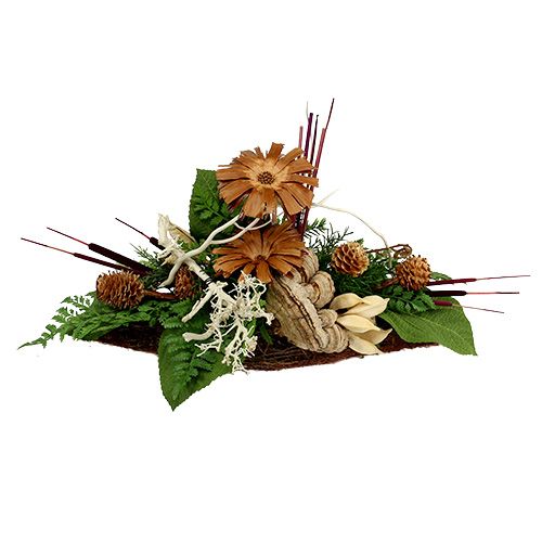 tételeket Nádhagyma keverék Erika 100 db