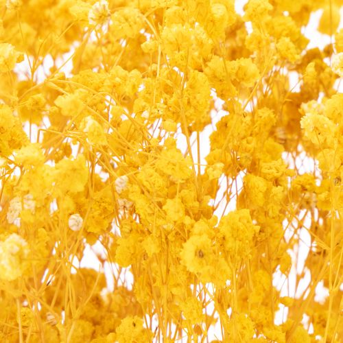 tételeket Szárított virágcsokor babalevessel. Dekoratív, virágzó ágak, amelyek alkalmasak szezonális asztaldísznek. 70 cm