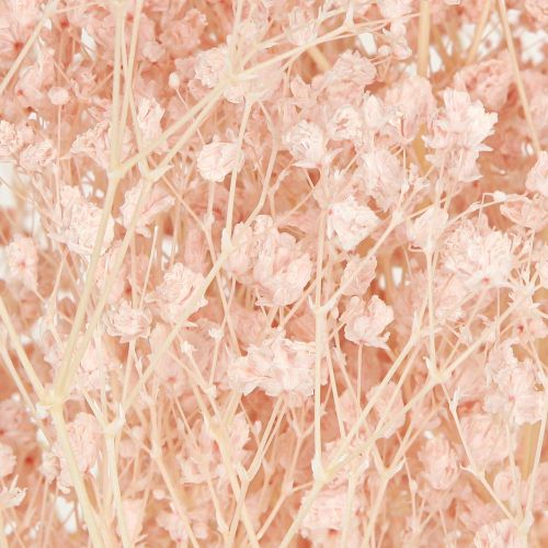Floristik24 Gypsophila dekoráció narancs szárított fű őszibarack 65-70cm 100g