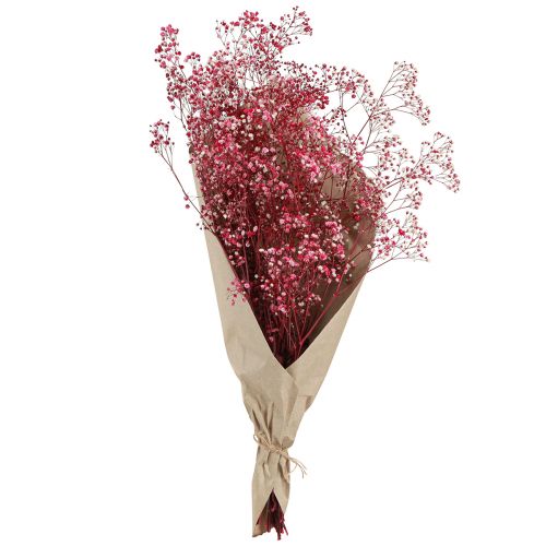 Floristik24 Gypsophila paniculate gipszfű bogyóban L50cm 55g