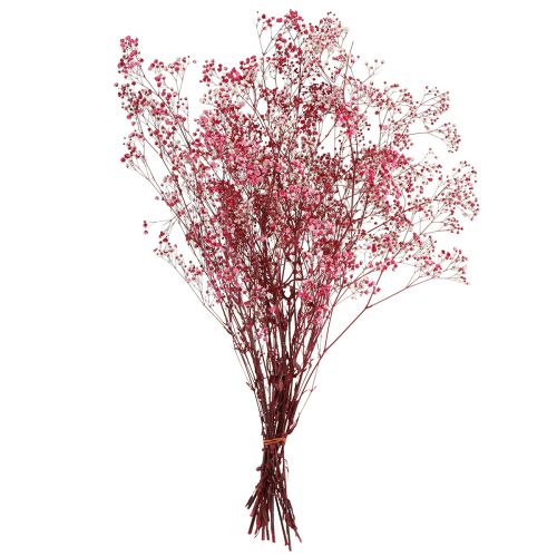 tételeket Gypsophila paniculate gipszfű bogyóban L50cm 55g