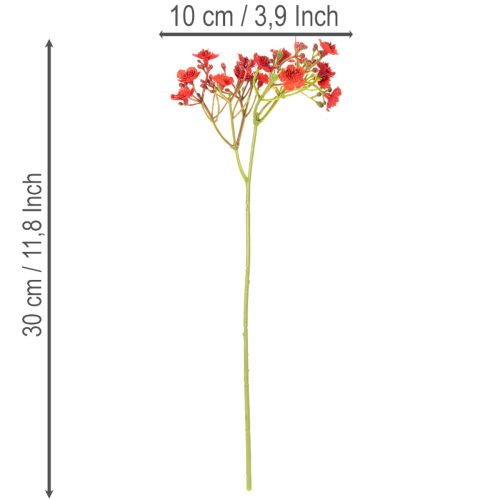 Műlégy, piros, virágdísz csokor, 30 cm, 10 darab | Floristik24.hu