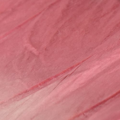 tételeket Nagy Függő Pillangó Dekoráció, Elegáns Fali Dekoráció, 50cm, 2 Darab