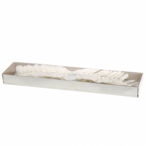 Floristik24 Tollas pillangó drótfehér, csillámos 5cm 24 db