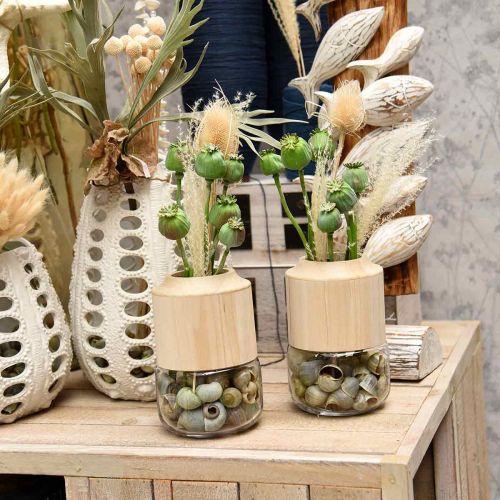 Floristik24 Csigahéj zöld 1kg