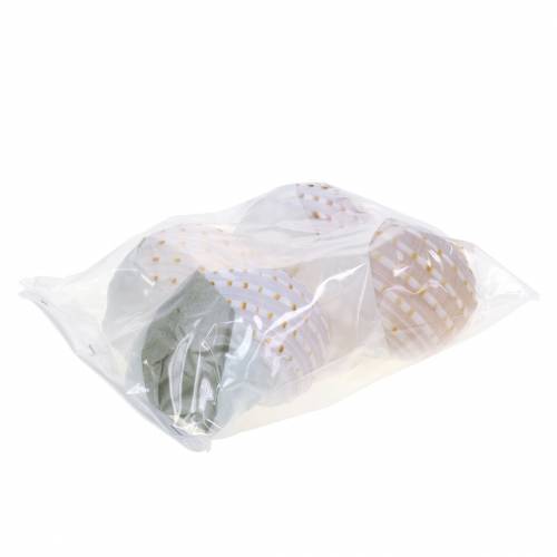 Floristik24 Dekoratív héjas csiga Tonna tessellata natúr 10-13cm 4 db