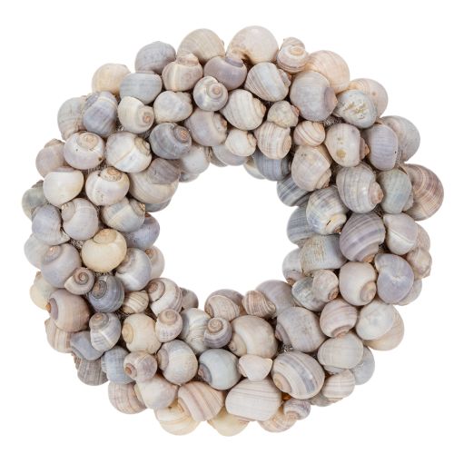 Floristik24 Csiga koszorú akasztásra, díszes koszorú, tengerész stílusú, Nathai, Ø35cm
