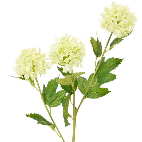 Műzöld hógolyóbokor, 65 cm, 2 darab vétel | Floristik24.hu