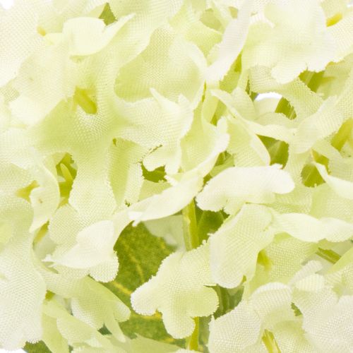 Műzöld hógolyóbokor, 65 cm, 2 darab | Floristik24.hu