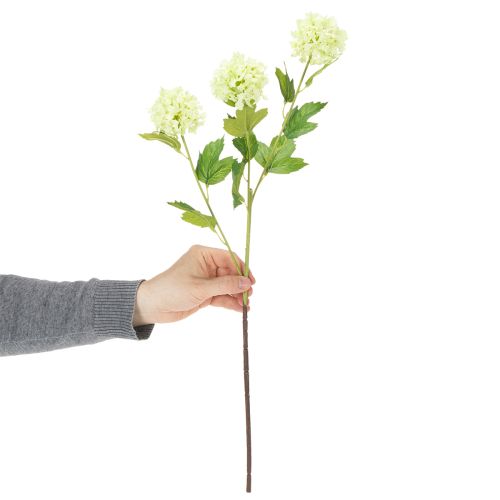 Műzöld hógolyóbokor, 65 cm, 2 darab | Floristik24.hu