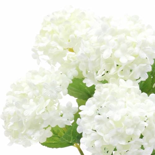 Floristik24 Hógolyó Viburnum Branch Fehér 42,5 cm