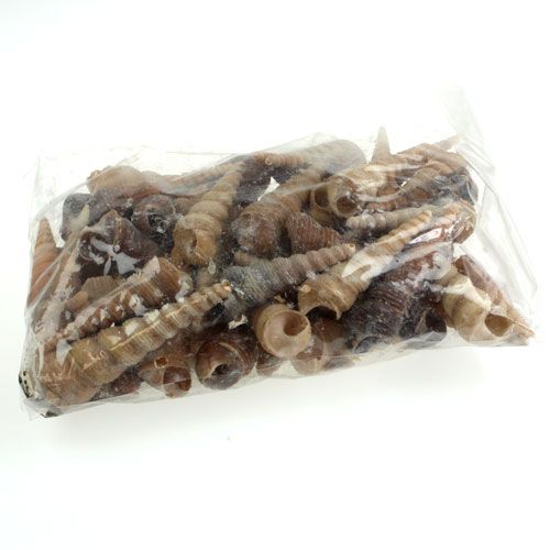 Floristik24 Terebra Turitella 1 kg_hu