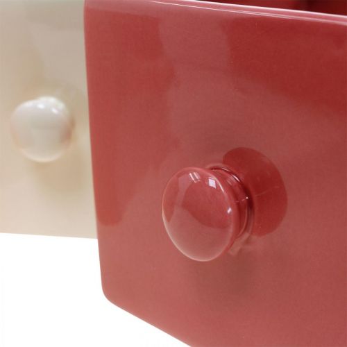 Floristik24 Növényfiók, díszfiók, kerámia edény, ültető 6 db