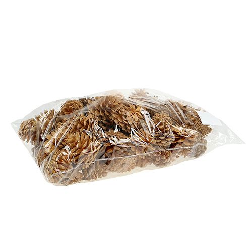 tételeket Fekete fenyőtoboz dekor toboz krém 5-8cm 1kg