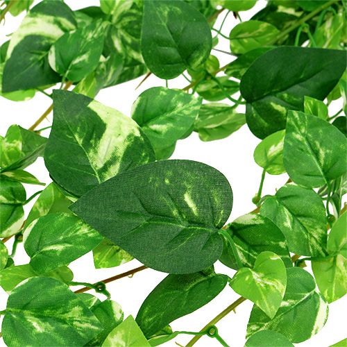 Floristik24 Scindapsus inda mesterséges 90cm