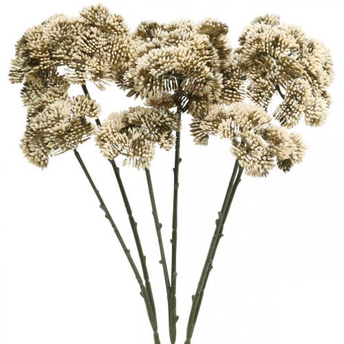 Floristik24 Sedum művirág Sedum krém virágdísz őszi 70cm 3db