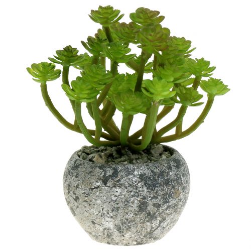 Mesterséges növények cserépben Artificial Succulent Green H15cm