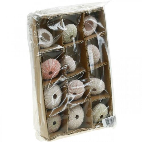 Floristik24 Tengeri sün dekoráció tengeri rózsaszín, fehér, zöld nyári dekoráció 12 db