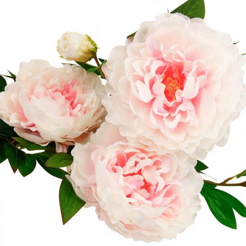 tételeket Selyemvirágos bazsarózsa mesterséges világos rózsaszín, fehér 135cm