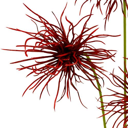 Floristik24 Selyem virágok Xanthium Bordeaux 64cm 4db