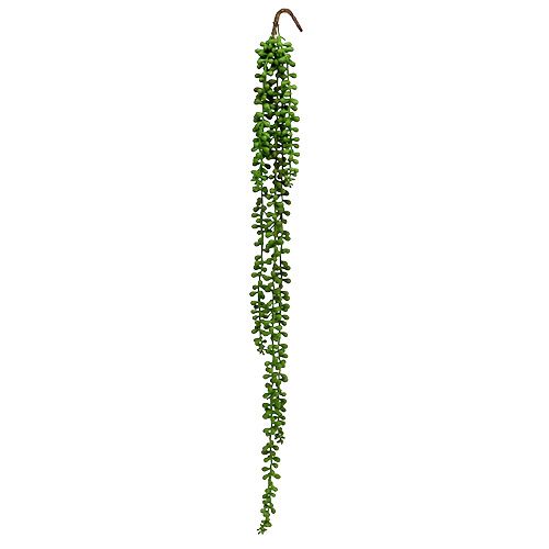 Floristik24 Senecio akasztó 75cm zöld