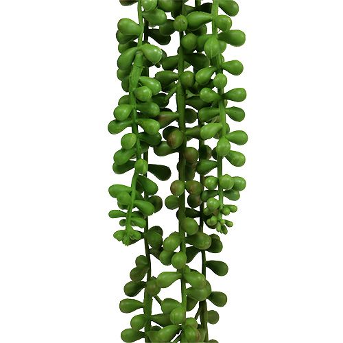 Floristik24 Senecio akasztó 75cm zöld