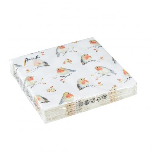 Floristik24 Szalvéták Autumn Robin csipkebogyó 25x25cm 20 db