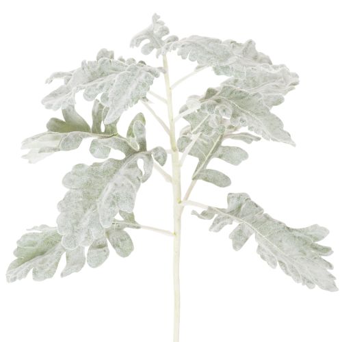 Mesterséges Senecio ág, ezüstlevél, bonyolult kidolgozású, 45 cm, 3 darab vétel | Floristik24.hu