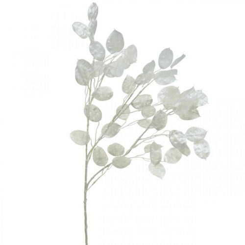 tételeket Dekoratív ág ezüstlevél fehér Lunaria ág műág 70cm