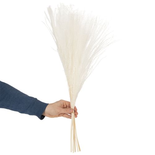 tételeket Szárított virágok, ezüstfű. Elegáns természetes dekoráció otthonra és irodába. 70 cm, 10 darab.