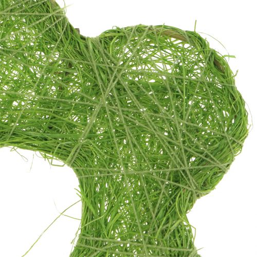 Floristik24 Szizál virágzöld Ø7,5cm 25db