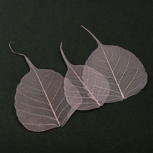 tételeket Csontvázas Bodhi levelek kreatív dekorációkhoz