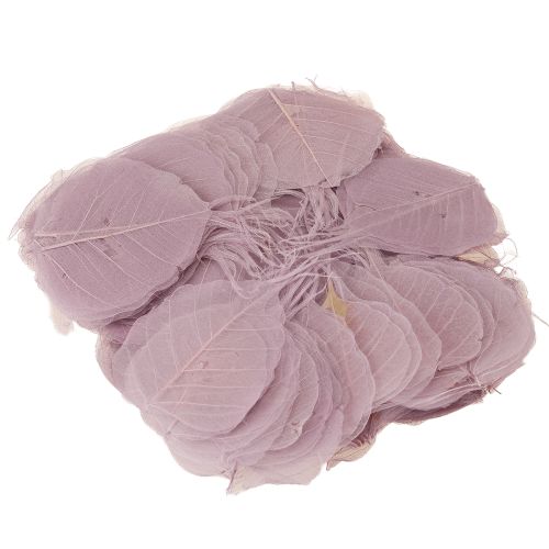 tételeket Csontvázas Bodhi levelek kreatív dekorációkhoz