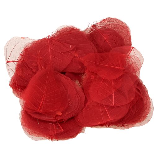 tételeket Csontvázas Bodhi dekoratív levelek virágkötészethez és kézművességhez