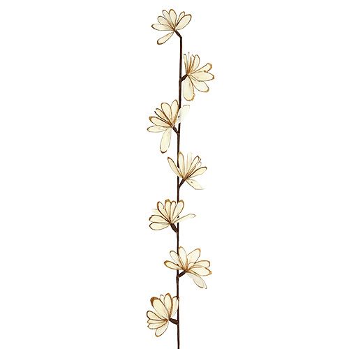 Floristik24 Sola Chips Sunny Stick Barna, Fehér 6 db.