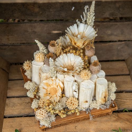 Floristik24 Napraforgó szár 20cm fehér 12 db