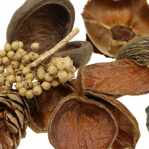 Floristik24 Egzotikus választék strobus kúpokkal, természet 300g