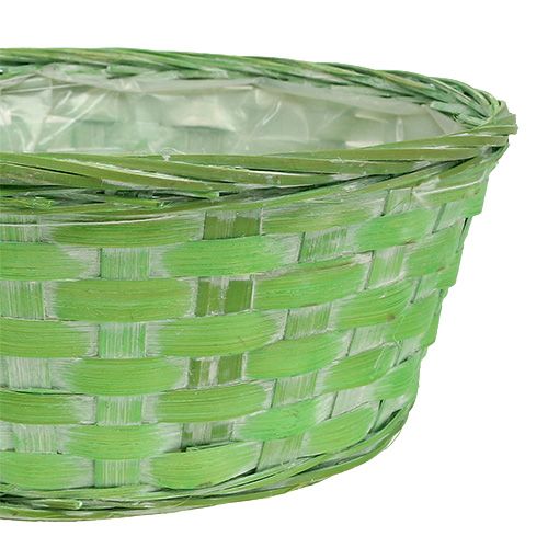 tételeket Forgácstál kerek tarka Ø25cm 6 db