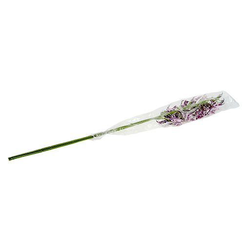 Floristik24 Pók orchideák Brassia lila 108cm 3db