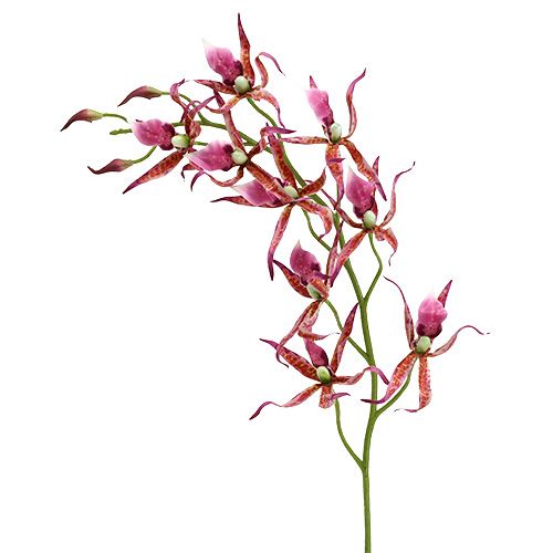 Floristik24 Pók orchideák rózsaszín-narancssárga 108cm 3db