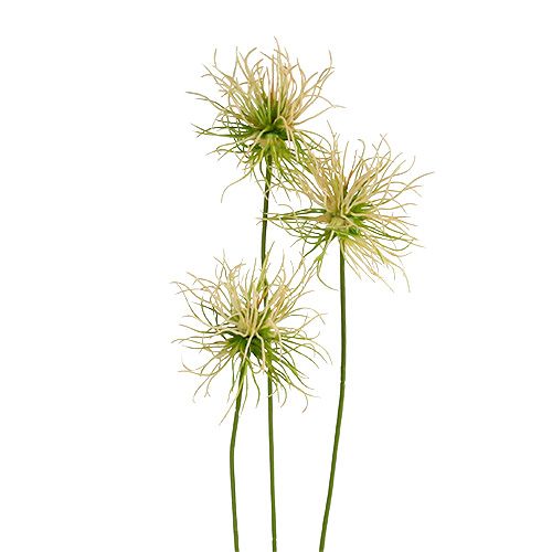 Floristik24 Hegyes bojtorján ágak krém-zöld 63cm 4db